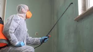 Best Mold Damage Restoration  in Dixon, KY